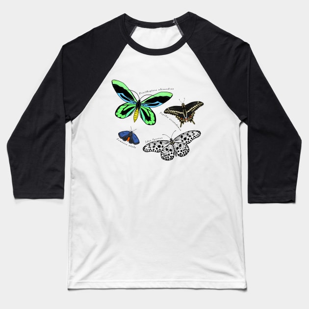 Endangered Butterflies Baseball T-Shirt by OTLArtwork